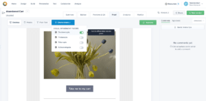 color blindness email accessibility tool in Litmus